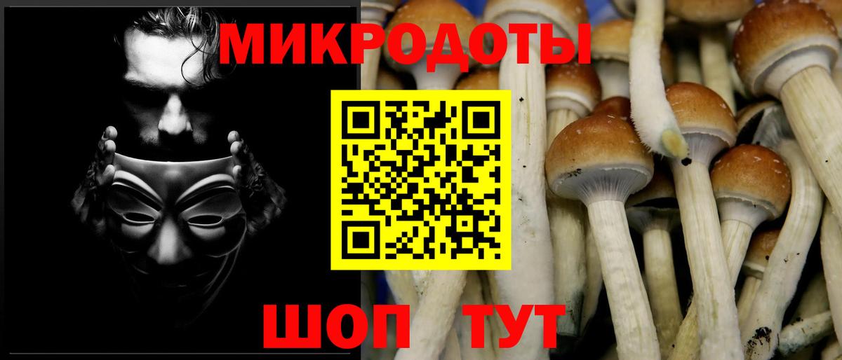 Керчь  Псилоцибиновые грибы Magic Shrooms  Вход с VPN 